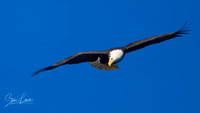 _Y9A4627-Edit