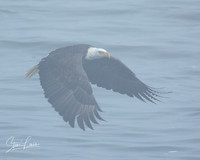 _Y9A3722-Edit