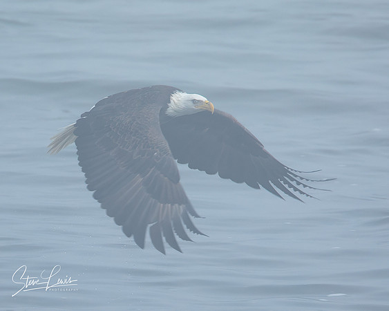 _Y9A3722-Edit