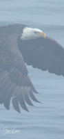 _Y9A3722-Edit