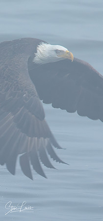 _Y9A3722-Edit