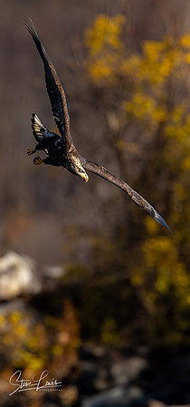 _Y9A5363-Edit-5