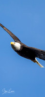 _Y9A5608-Edit