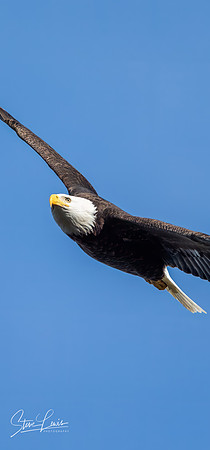 _Y9A5608-Edit