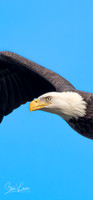 _Y9A5420-Edit-2