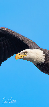 _Y9A5420-Edit-2