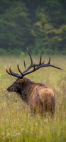 4Y9A3432-Edit