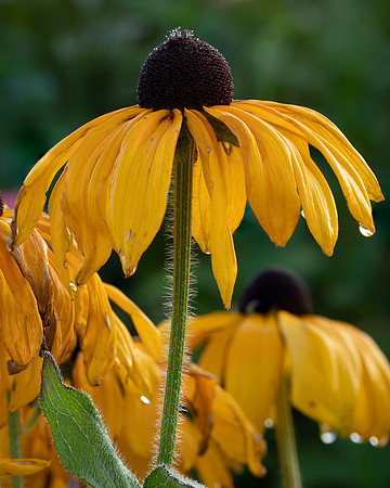 _Y9A6029-Edit-Edit-Edit-2-2