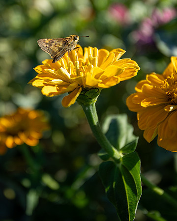 _Y9A5230-Edit
