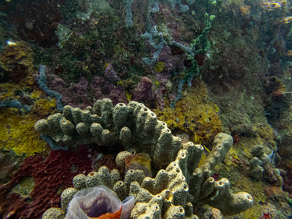 G0061826-Edit